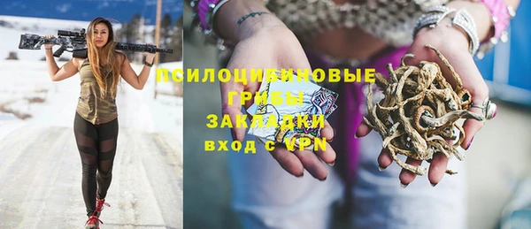 прущий лед Алексеевка