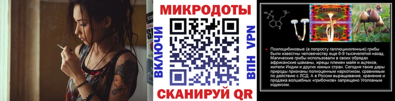 Псилоцибиновые грибы MAGIC MUSHROOMS  наркотики  Елизаветинская 